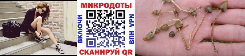 Галлюциногенные грибы MAGIC MUSHROOMS  как найти закладки  Кызыл 